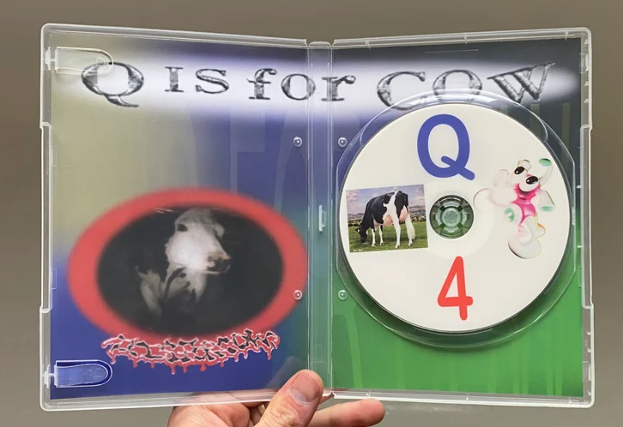 q is for cow feature image